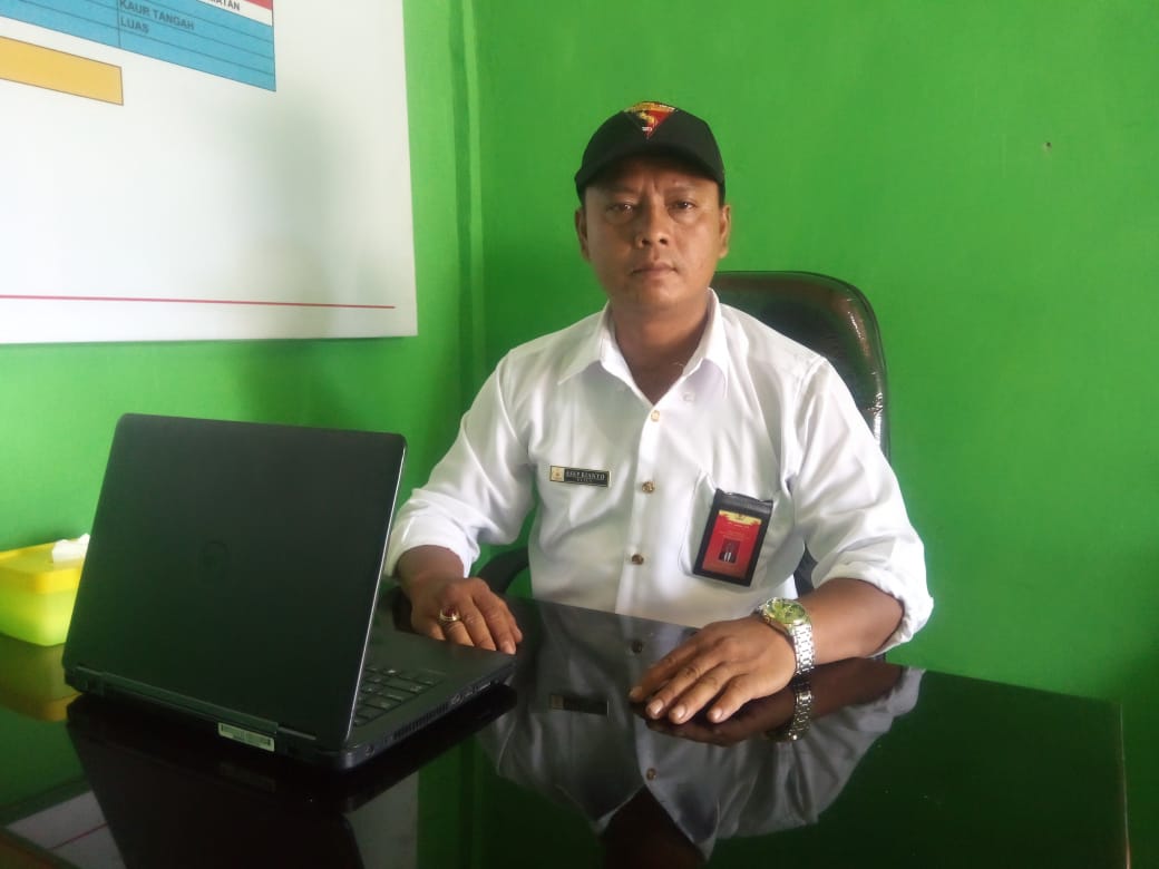 Lis heri