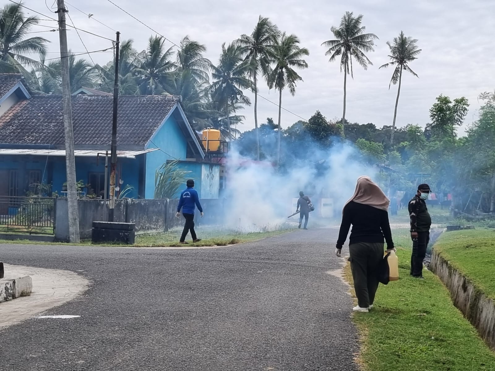 Pemberantasan DPD 