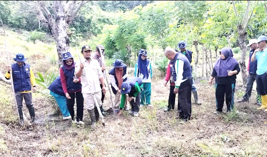 Tanjung Kemuning II 