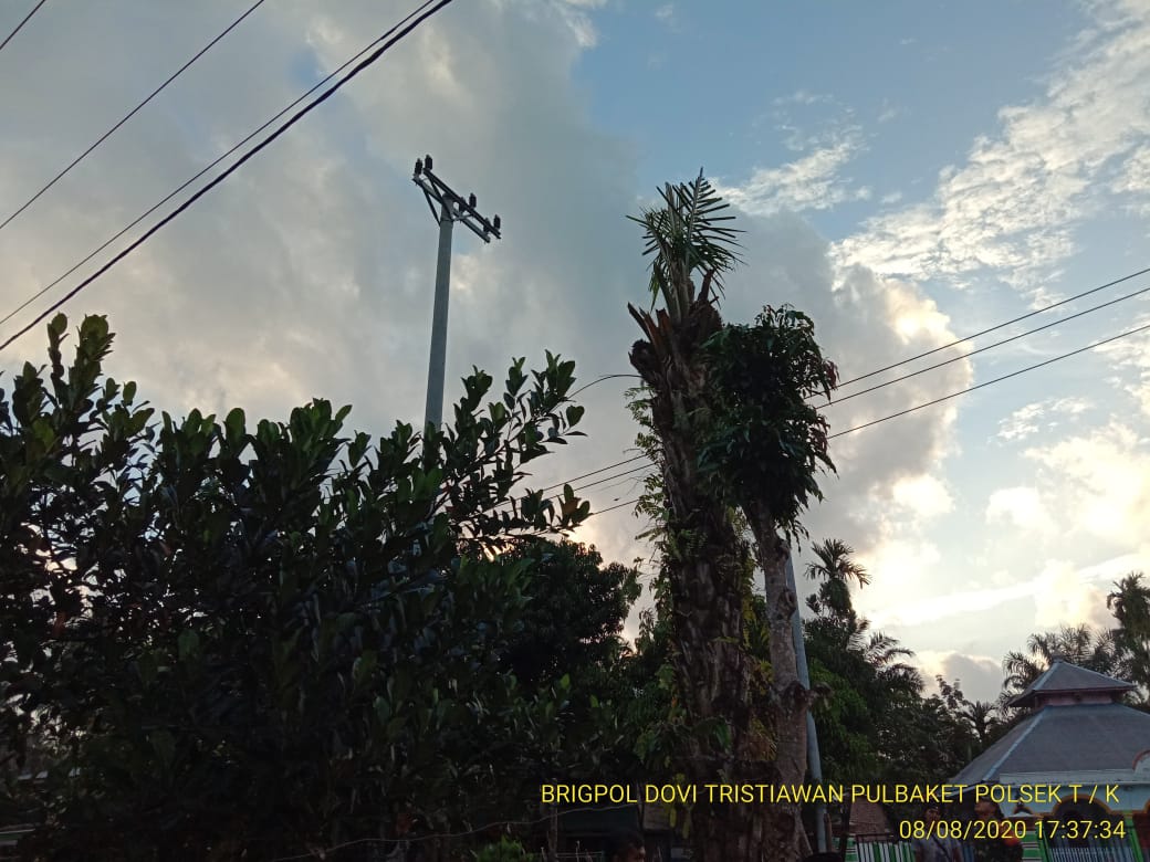 gambar lokasi kejadian